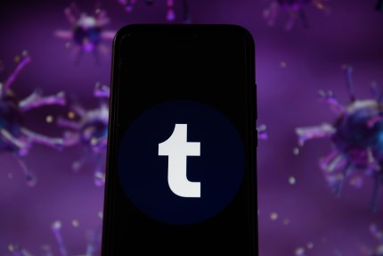 After X’s ban in Brazil, Tumblr reports ~350% user growth