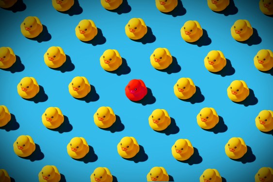 a photo of a pattern of yellow ducks on a blue vignetted background, with a single red duck in the middle