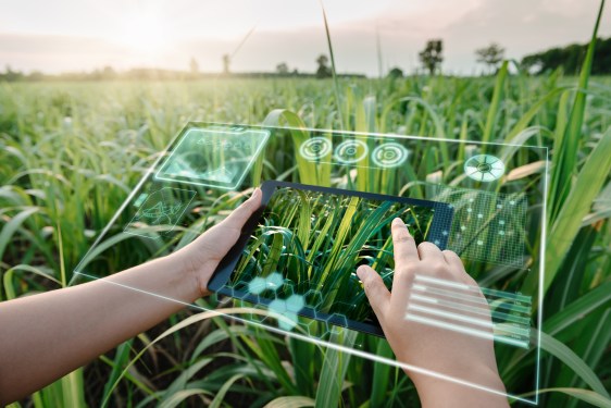 Photo of a farm worker's hands in a field, with a transparent digital image of a tablet superimposed above.