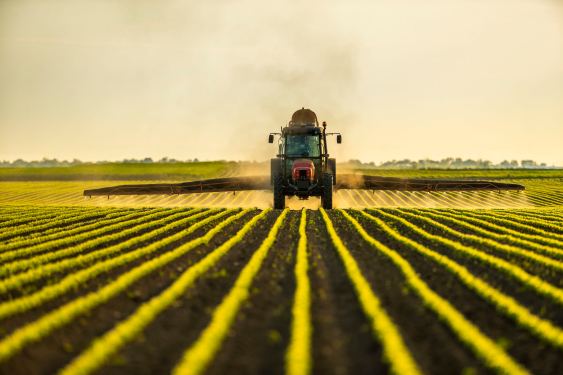 Tractor spraying pesticides on soybeans.