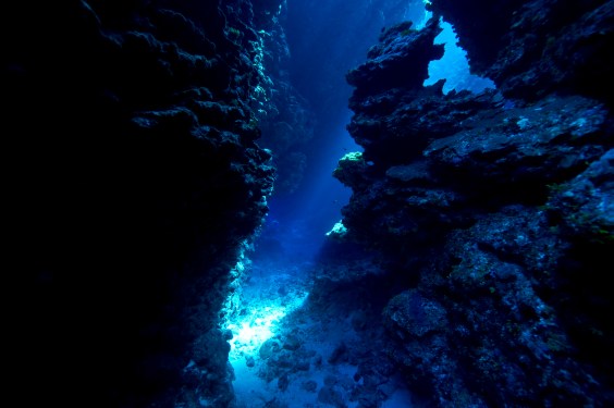 Image of underwater cave.