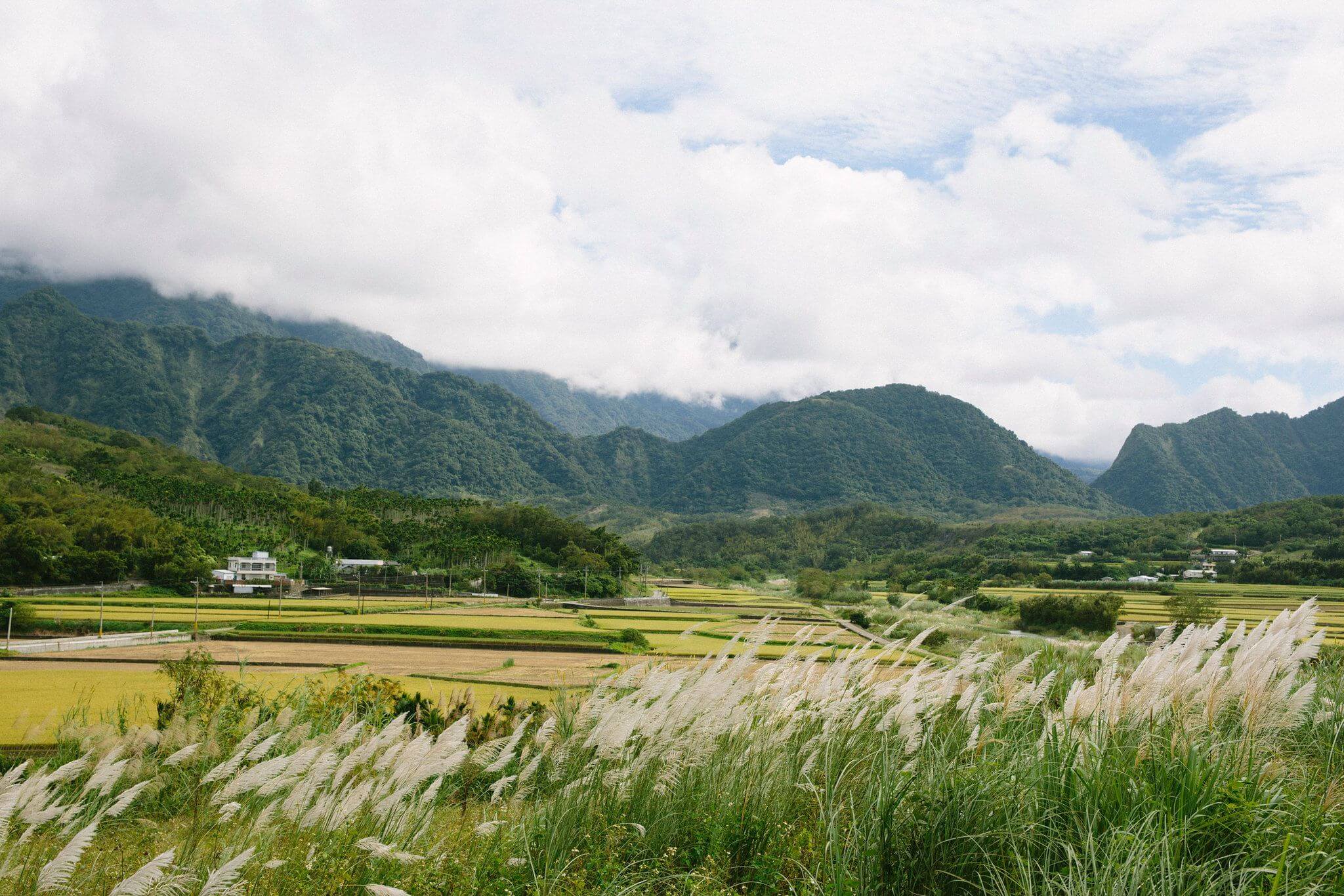 山林土地