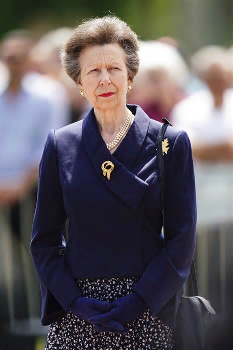 Princess Anne is out of hospital and recuperating at home after suffering head injury