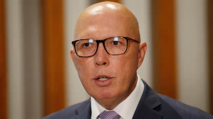 'All parties should be supporting this': Greens back Dutton's supermarket divestiture powers