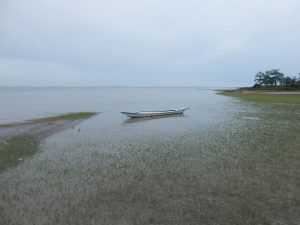 The Burning of Buthidaung: Allegations, Denials, and Silence in Myanmar&#8217;s Rakhine State