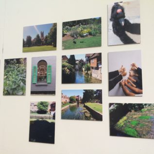 A selection of images arranged on a wall