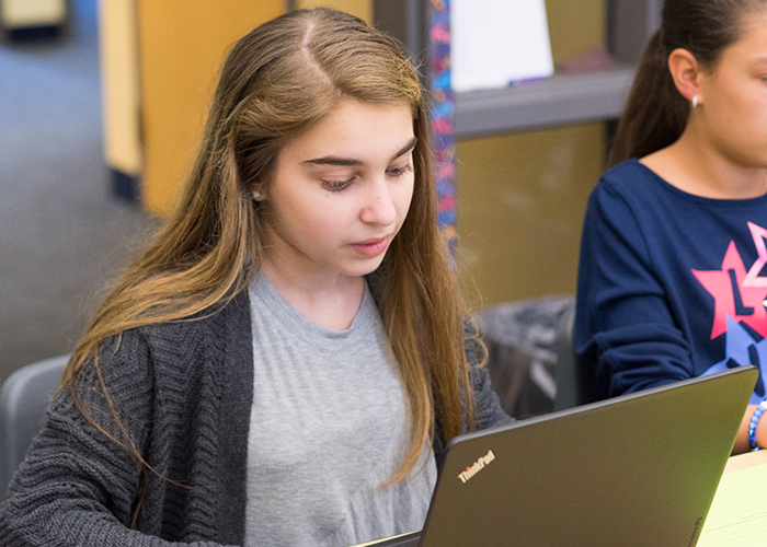 Janus student at a computer