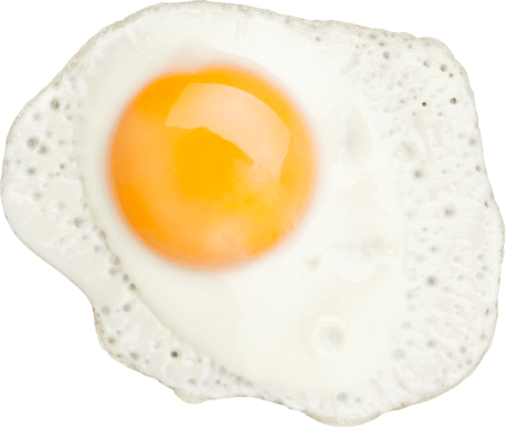 Egg