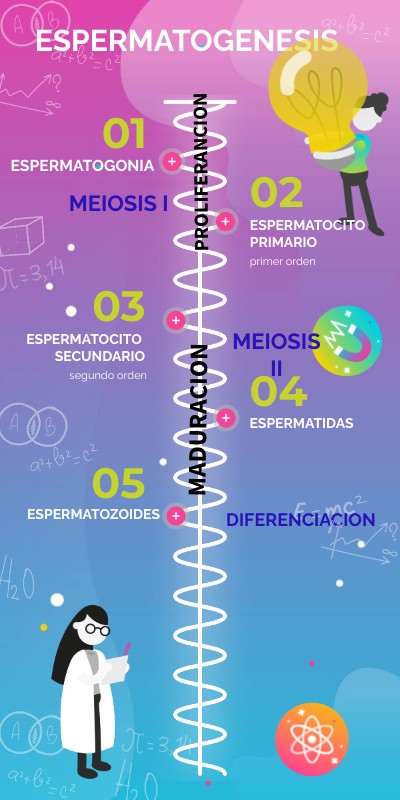 TIMELINE FÍSICA VIBRANT