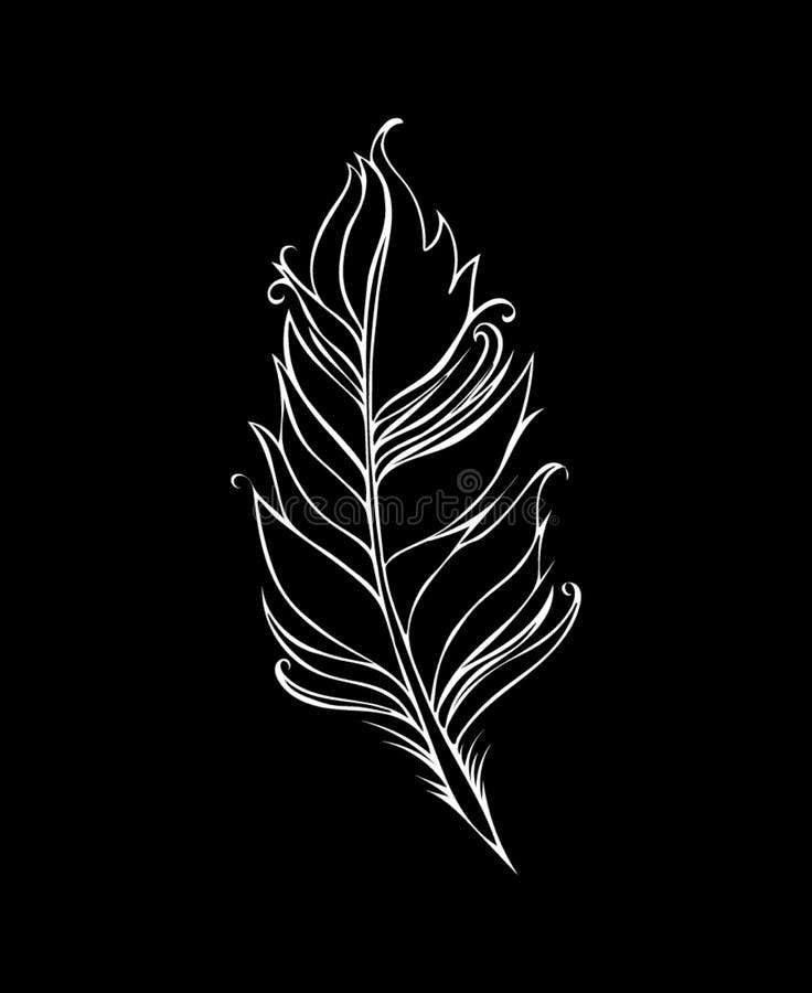 Feather Isolated on Black Background. Vector Illustration Stock Vector -  Illustration of literature, contour: 185247771