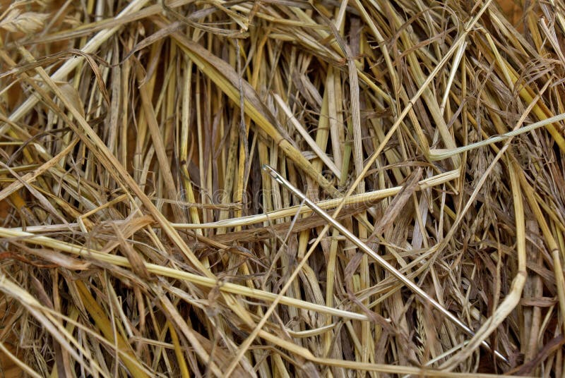 Metal needle in hay