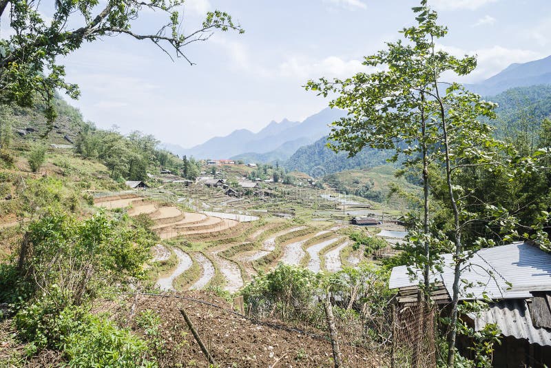 Rice Paddies of Sapa, Vietnam Stock Image - Image of paddies, rice ...