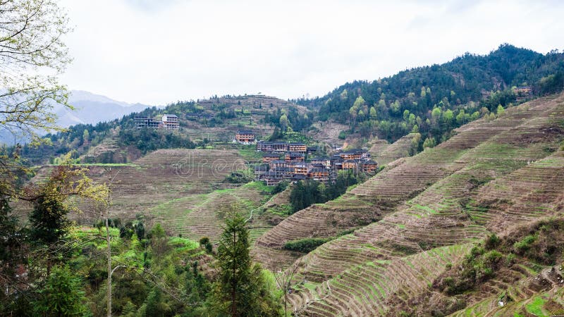 View of Dazhai Village on Green Hills Stock Photo - Image of ...