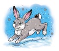 Cartoon grey hare in winter season artistic illustration