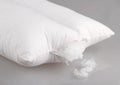 Pillow display cotton wool inside