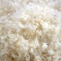 Raw Wool