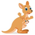 Wallaroo Encounter. Cartoon Animals Vector. Mother Kangaroo With Her Little Cute Baby.