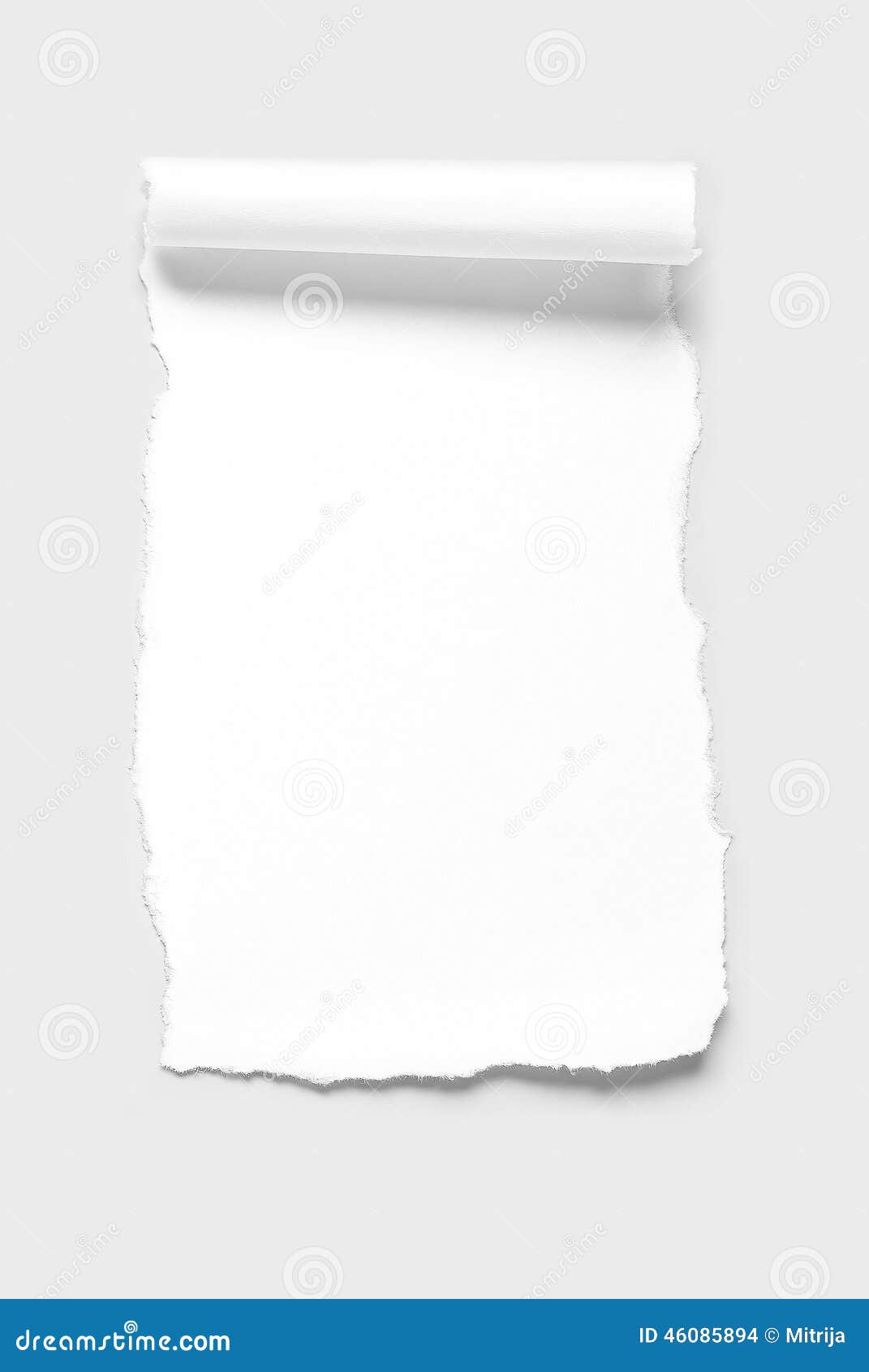 Blank Paper Scrap with Scrolled Edge Stock Photo - Image of copy, edge ...