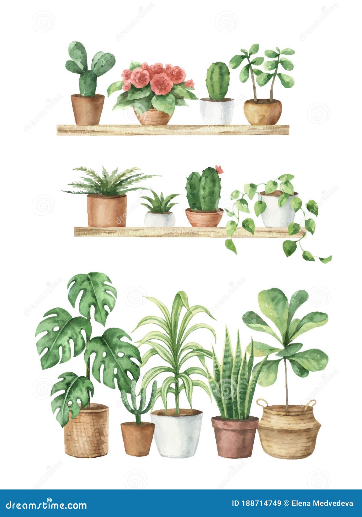 Watercolor Aesthetic Room Decor and Indoor Plants. Stock Vector ...