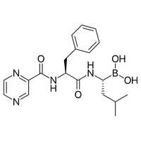 Bortezomib