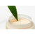 Aloe Vera Cold Cream