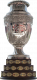 Copa América winner