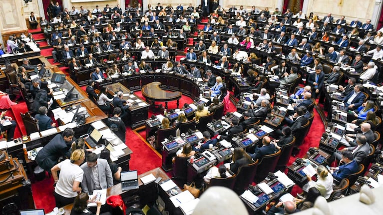 Nuevo golpe al kirchnerismo en el Congreso: un diputado dejó el bloque de UxP con críticas a Cristina Kirchner (Foto: NA/ Juan Vargas)