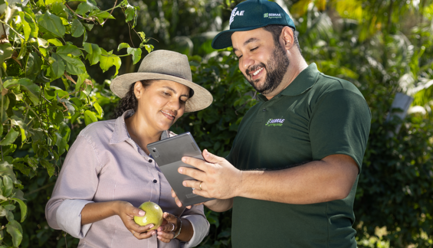 ASN Tocantins - Agência Sebrae de Notícias