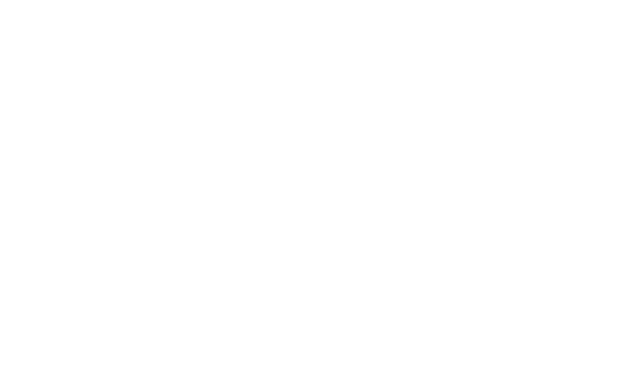 Total Warrior