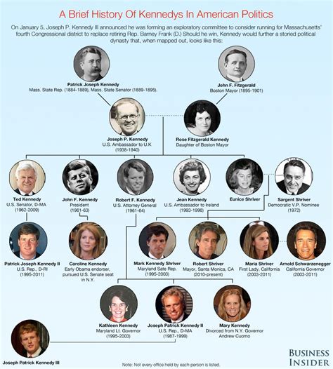 The Kennedy Political Dynasty Family Tree [Infographic] - Business Insider