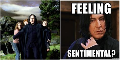 Harry Potter: 10 Hilarious Memes That Prove Snape Cared For Harry