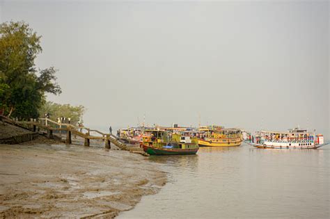 A Tourist Boat With Tourists Enjoying Boat Safari On River At Sundarban Tiger Reserve India ...