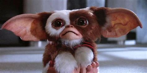 Where Is The Gremlins Cast Today?