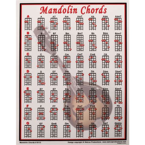 Mandolin Chords Mini Chart - 755798123478