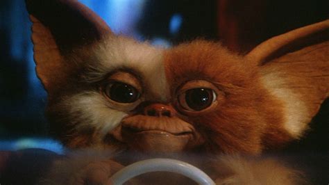 Gremlins Gizmo Wallpapers - Wallpaper Cave