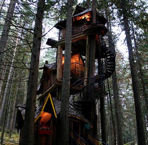 Enchanted Forest Treehouse: Would You Live Here? - Off Grid World