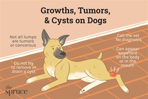 Tumors, Growths, and Cysts in Dogs