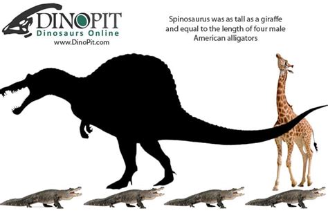 Just How Big Was Spinosaurus? - DinoPit