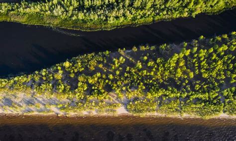 The Mississippi River Delta is Dying - A-Z Animals