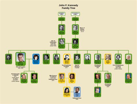 John F. Kennedy Family Tree : r/UsefulCharts