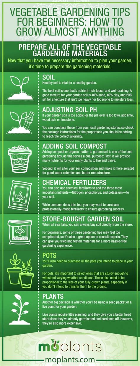 Vegetable Gardening Tips for Beginners: How to Grow Almost Anything - Mo Plants