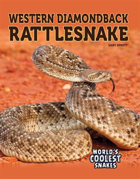 Western Diamondback Rattlesnake - Walmart.com - Walmart.com