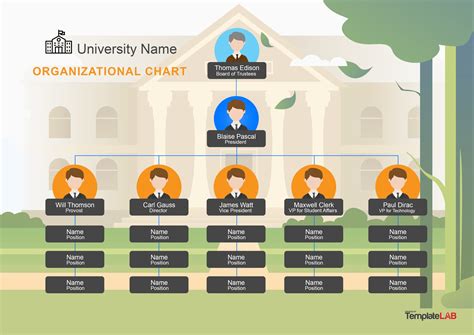 University Organizational Chart Template