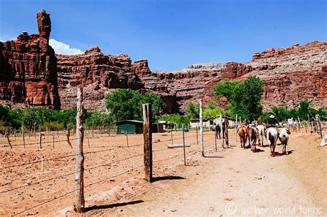 Havasu 4: Supai Village | As Her World Turns