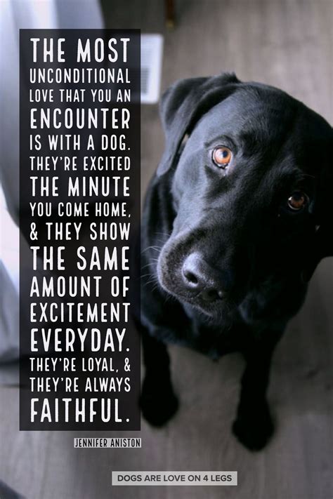 A Dog Will Love You Unconditionally Quotes