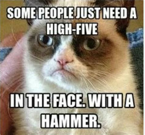 Monkey Meme Some peole just need a high five in the face with a hammer | Picsmine