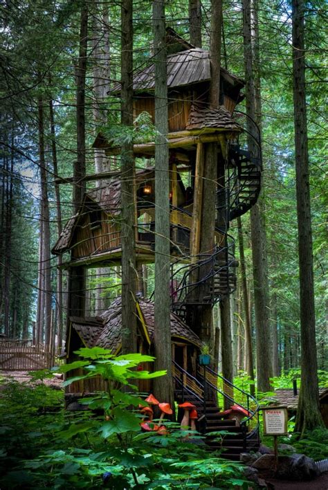 An Enchanted Tree House | CBrajkovich Ramblings