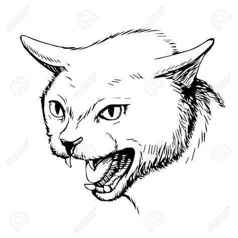 Angry Cat Drawing at GetDrawings | Free download