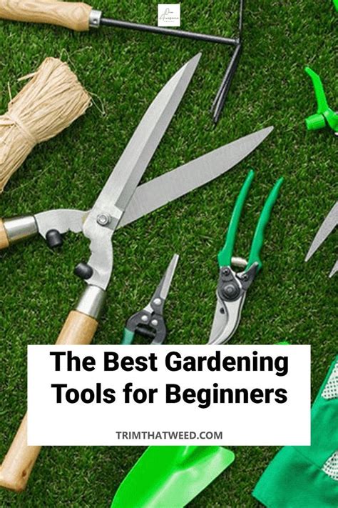 The best gardening tools for beginners – Artofit