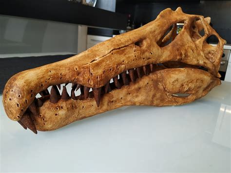 Spinosaurus Dinosaur Skull 3D printable model | CGTrader